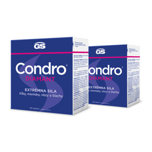 GS Condro® Diamant 2 x 120 tabliet