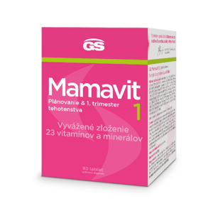 GS Mamavit 1 - Plánovanie a 1. trimester, 90 tabliet
