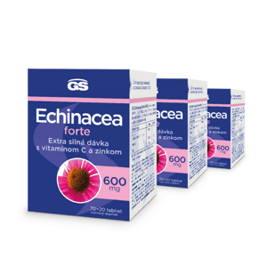 GS Echinacea FORTE 600, 3× 90 tabliet