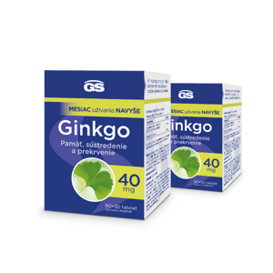 GS Ginkgo 40 mg, 2× 120 tabliet