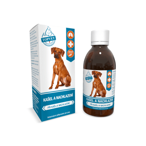 Sirup proti kašľu a prechladnutiu pre psov 200 ml - Green idea